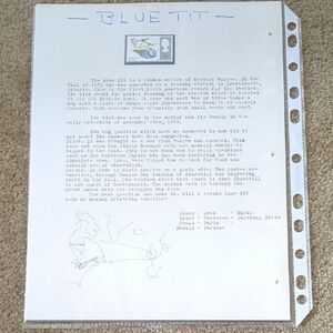 Bluetit Bird Study Stamp - Educational Nature Design